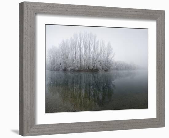 Lake, Shore, Wood, Water Surface, Reflexion, Hoarfrost, Winter-Roland T.-Framed Photographic Print