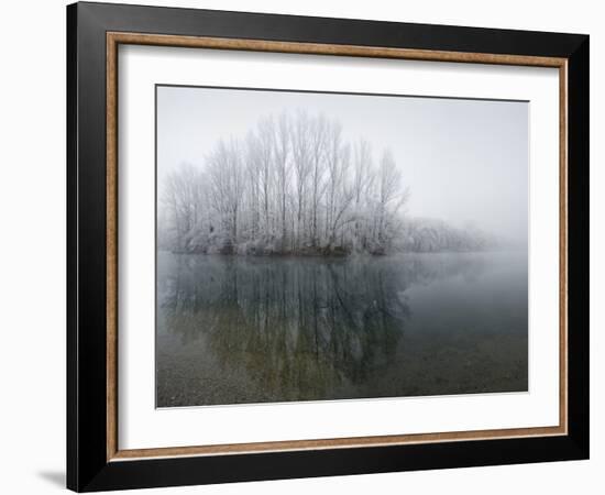 Lake, Shore, Wood, Water Surface, Reflexion, Hoarfrost, Winter-Roland T.-Framed Photographic Print