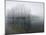 Lake, Shore, Wood, Water Surface, Reflexion, Hoarfrost, Winter-Roland T.-Mounted Photographic Print