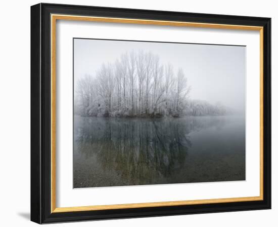 Lake, Shore, Wood, Water Surface, Reflexion, Hoarfrost, Winter-Roland T.-Framed Photographic Print