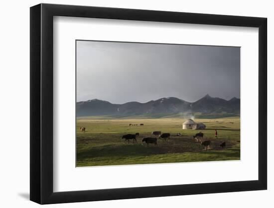 Lake Song-Kol, Kyrgyzstan, Central Asia-Eitan Simanor-Framed Photographic Print