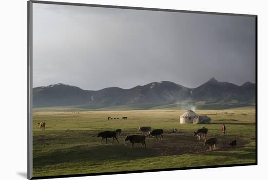 Lake Song-Kol, Kyrgyzstan, Central Asia-Eitan Simanor-Mounted Photographic Print