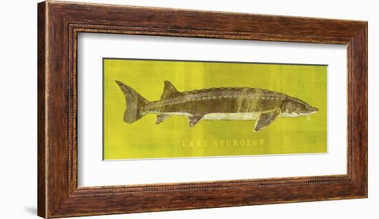 Lake Sturgeon-John Golden-Framed Art Print