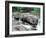 Lake Superior 07-Gordon Semmens-Framed Photographic Print