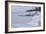 Lake Superior 23-Gordon Semmens-Framed Photographic Print