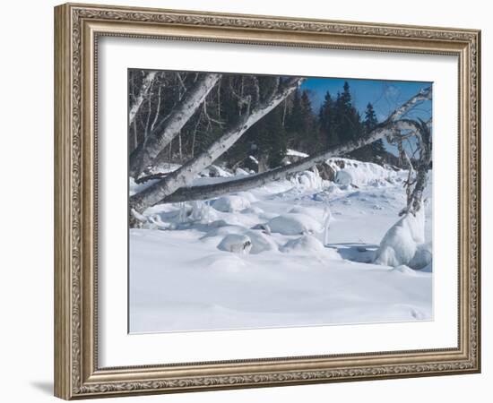 Lake Superior 25-Gordon Semmens-Framed Photographic Print