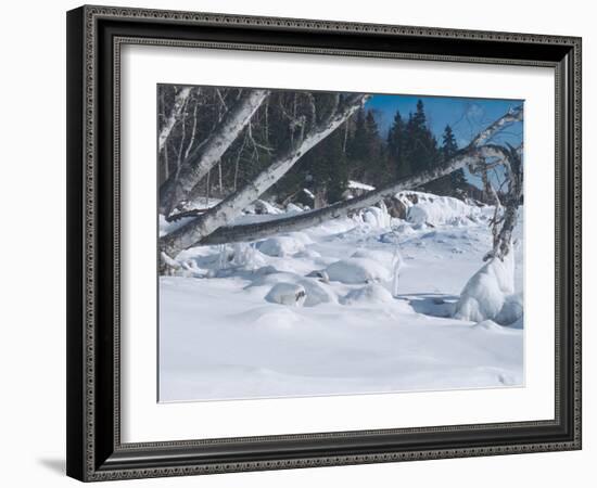 Lake Superior 25-Gordon Semmens-Framed Photographic Print