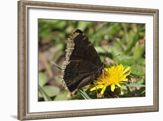 Lake Superior 73-Gordon Semmens-Framed Photographic Print