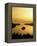 Lake Tahoe at Dawn, Tahoe, Nevada, USA-Steve Vidler-Framed Premier Image Canvas