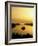 Lake Tahoe at Dawn, Tahoe, Nevada, USA-Steve Vidler-Framed Photographic Print