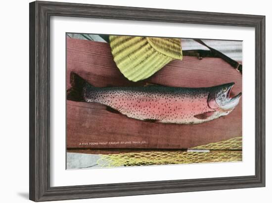 Lake Tahoe, California - Caught Lake Tahoe 5 Pound Trout-Lantern Press-Framed Art Print