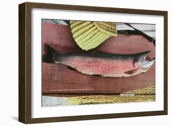 Lake Tahoe, California - Caught Lake Tahoe 5 Pound Trout-Lantern Press-Framed Art Print