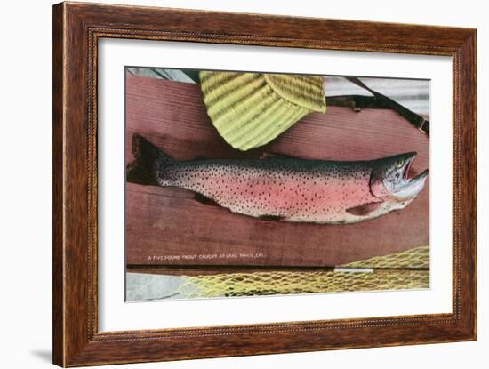 Lake Tahoe, California - Caught Lake Tahoe 5 Pound Trout-Lantern Press-Framed Art Print