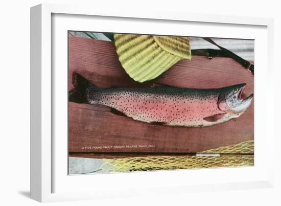 Lake Tahoe, California - Caught Lake Tahoe 5 Pound Trout-Lantern Press-Framed Art Print