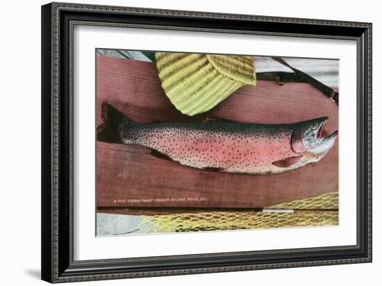 Lake Tahoe, California - Caught Lake Tahoe 5 Pound Trout-Lantern Press-Framed Art Print