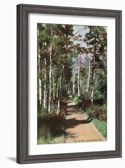 Lake Tahoe, California - Glen Alpine Springs Aspen Road-Lantern Press-Framed Art Print