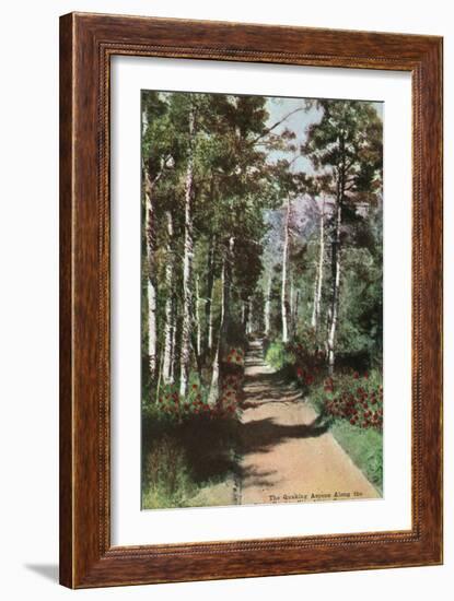 Lake Tahoe, California - Glen Alpine Springs Aspen Road-Lantern Press-Framed Art Print