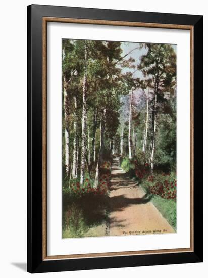 Lake Tahoe, California - Glen Alpine Springs Aspen Road-Lantern Press-Framed Art Print