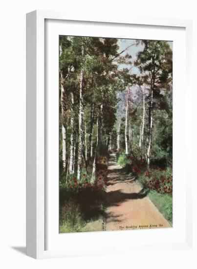 Lake Tahoe, California - Glen Alpine Springs Aspen Road-Lantern Press-Framed Art Print