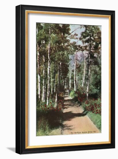 Lake Tahoe, California - Glen Alpine Springs Aspen Road-Lantern Press-Framed Art Print