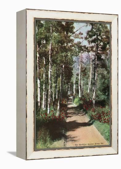 Lake Tahoe, California - Glen Alpine Springs Aspen Road-Lantern Press-Framed Stretched Canvas