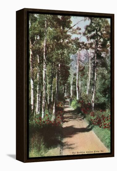 Lake Tahoe, California - Glen Alpine Springs Aspen Road-Lantern Press-Framed Stretched Canvas