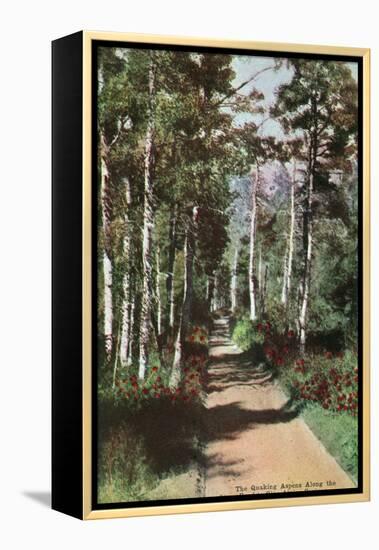 Lake Tahoe, California - Glen Alpine Springs Aspen Road-Lantern Press-Framed Stretched Canvas