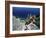 Lake Tahoe, California, USA-null-Framed Photographic Print