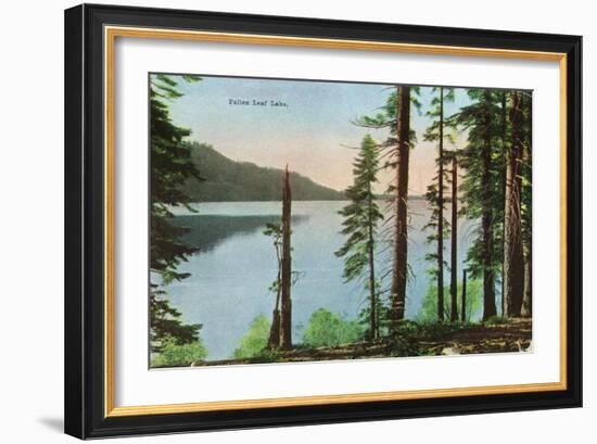 Lake Tahoe, California - View of Fallen Leaf Lake-Lantern Press-Framed Art Print