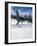 Lake Tahoe, Nevada, USA-null-Framed Photographic Print