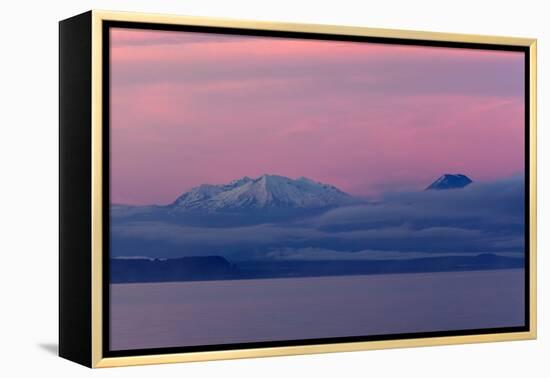 Lake Taupo with Mount Ruapehu and Mount Ngauruhoe at Dawn-Stuart-Framed Premier Image Canvas