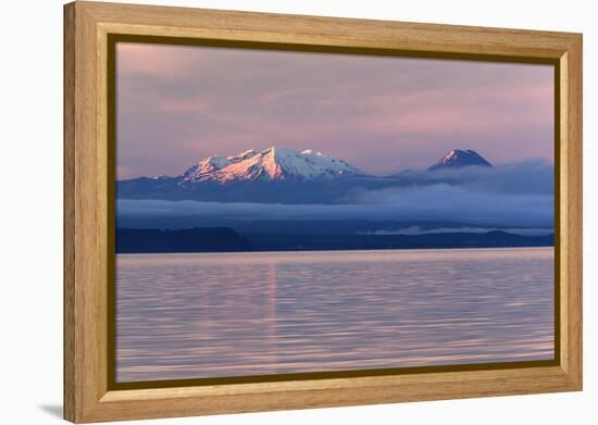 Lake Taupo with Mount Ruapehu and Mount Ngauruhoe at Dawn-Stuart-Framed Premier Image Canvas