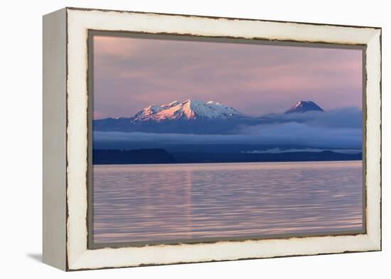 Lake Taupo with Mount Ruapehu and Mount Ngauruhoe at Dawn-Stuart-Framed Premier Image Canvas