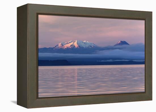 Lake Taupo with Mount Ruapehu and Mount Ngauruhoe at Dawn-Stuart-Framed Premier Image Canvas