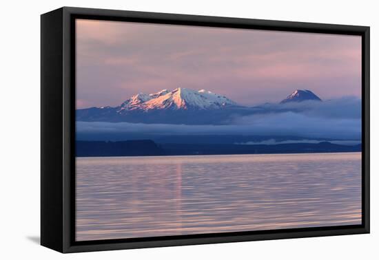 Lake Taupo with Mount Ruapehu and Mount Ngauruhoe at Dawn-Stuart-Framed Premier Image Canvas