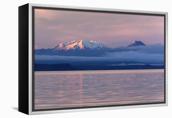 Lake Taupo with Mount Ruapehu and Mount Ngauruhoe at Dawn-Stuart-Framed Premier Image Canvas