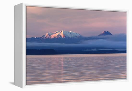 Lake Taupo with Mount Ruapehu and Mount Ngauruhoe at Dawn-Stuart-Framed Premier Image Canvas