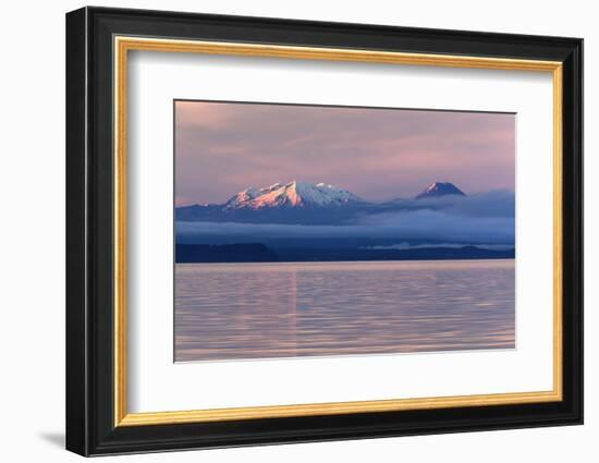 Lake Taupo with Mount Ruapehu and Mount Ngauruhoe at Dawn-Stuart-Framed Photographic Print