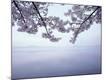 Premium Photographic Print
