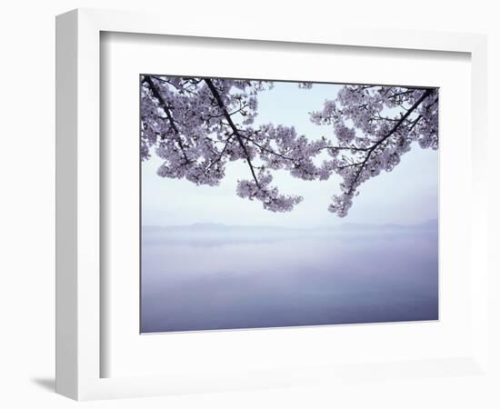 Lake Tazawa and Cherry Blossoms-null-Framed Photographic Print