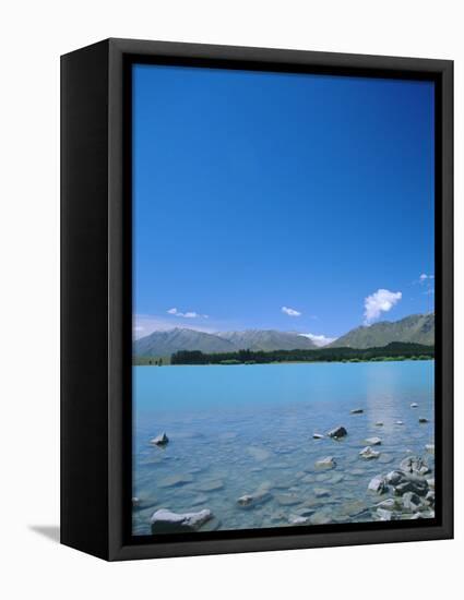 Lake Tekapo, Mount Cook National Park, Canterbury, South Island, New Zealand-Neale Clarke-Framed Premier Image Canvas