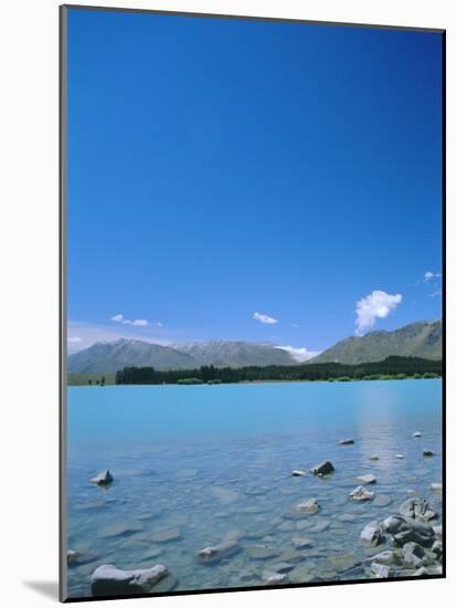 Lake Tekapo, Mount Cook National Park, Canterbury, South Island, New Zealand-Neale Clarke-Mounted Photographic Print