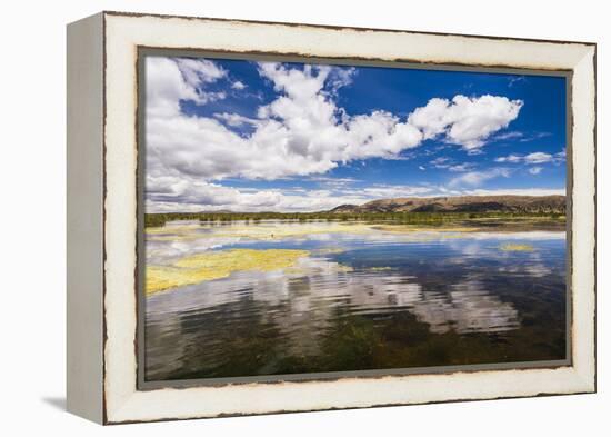 Lake Titicaca, Puno Region, Peru, South America-Matthew Williams-Ellis-Framed Premier Image Canvas