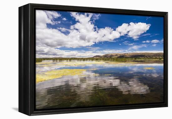 Lake Titicaca, Puno Region, Peru, South America-Matthew Williams-Ellis-Framed Premier Image Canvas