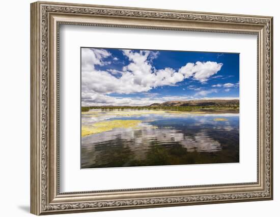 Lake Titicaca, Puno Region, Peru, South America-Matthew Williams-Ellis-Framed Photographic Print