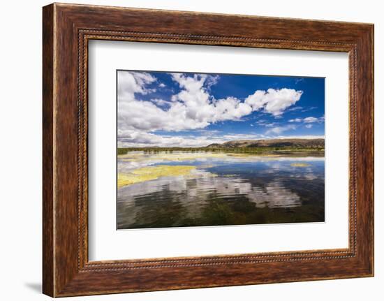 Lake Titicaca, Puno Region, Peru, South America-Matthew Williams-Ellis-Framed Photographic Print