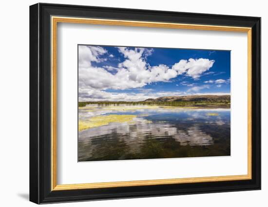 Lake Titicaca, Puno Region, Peru, South America-Matthew Williams-Ellis-Framed Photographic Print