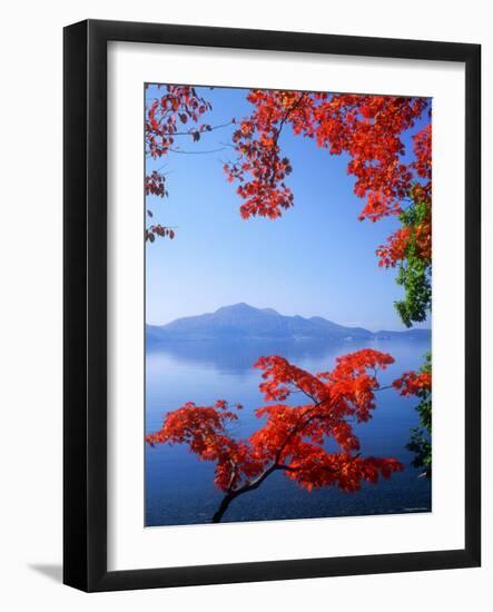 Lake Toyah and Mt. Usu-null-Framed Photographic Print