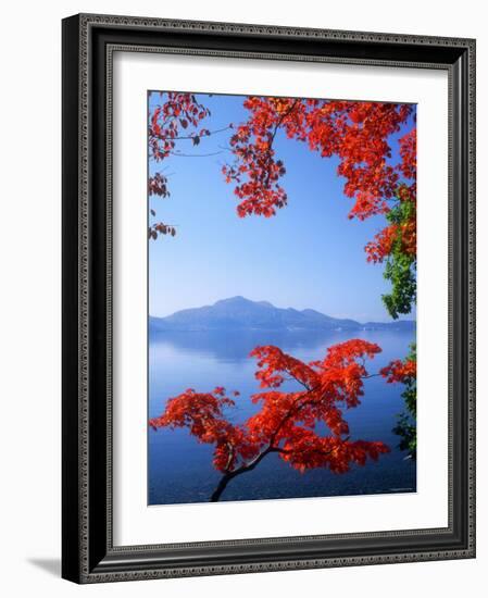 Lake Toyah and Mt. Usu-null-Framed Photographic Print