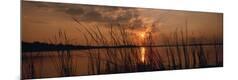 Premium Photographic Print